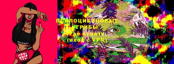дмт Алзамай