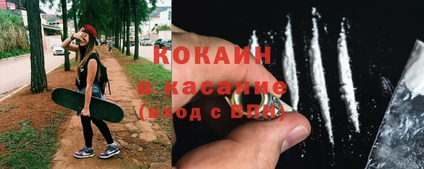прущие грибы Алексин