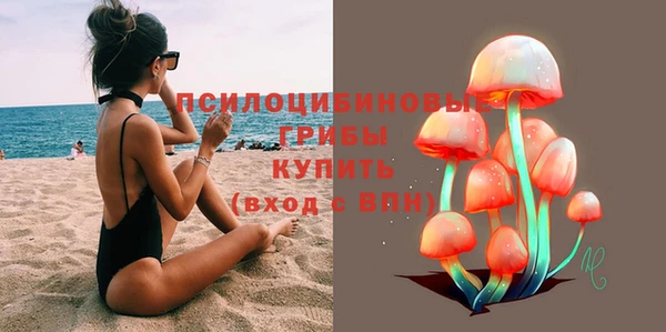 синтетический гашиш Алексеевка
