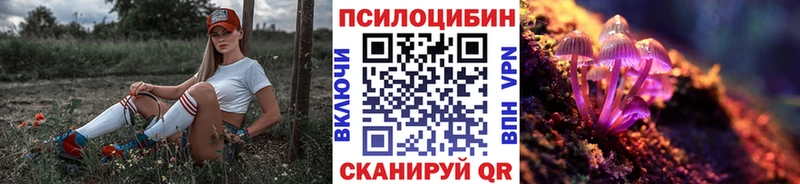 blacksprut как зайти  Себеж  Псилоцибиновые грибы мухоморы 